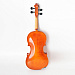 Strunal 1750-4/4 Скрипка.-1